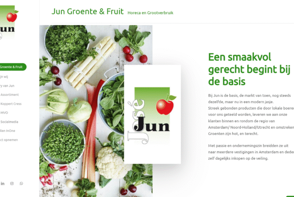Jun voorbeeld website